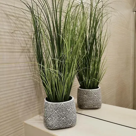 Zofia 2 Przy Plazy Lejlighed