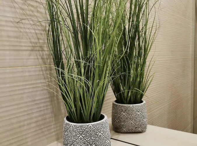 Zofia 2 Przy Plazy 公寓